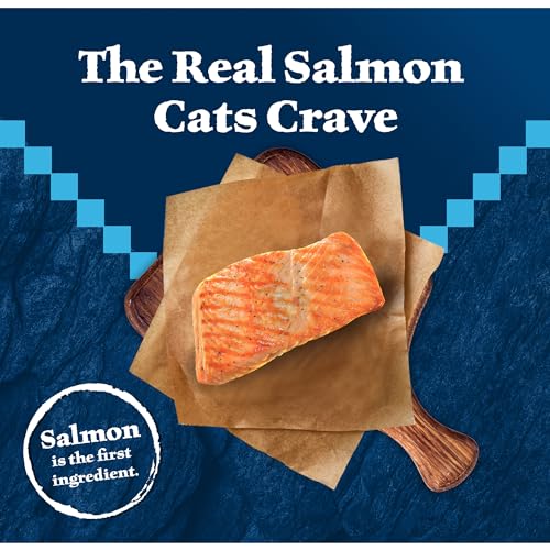 Blue Buffalo Wilderness Natural High Protein Grain Free Dry Cat Food for Adult Cats Salmon 11-lb Bag