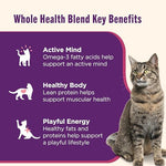 rachael ray grain free ocean lover's variety pack wet cat food 12 count 2.8 oz cups