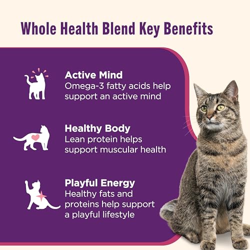 rachael ray grain free ocean lover's variety pack wet cat food 12 count 2.8 oz cups