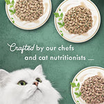 Purina fancy feast medleys florentine wet cat food variety pack, 2 packs of 12, 3 oz cans, no artificial preservatives