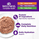 wellness complete health grain-free chicken & turkey cat food 3oz 12 pack