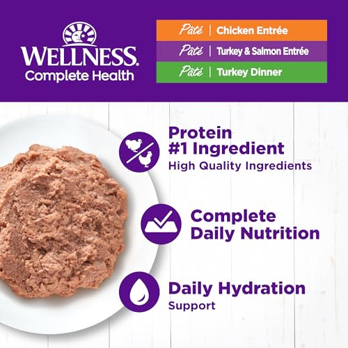 wellness complete health grain-free chicken & turkey cat food 3oz 12 pack