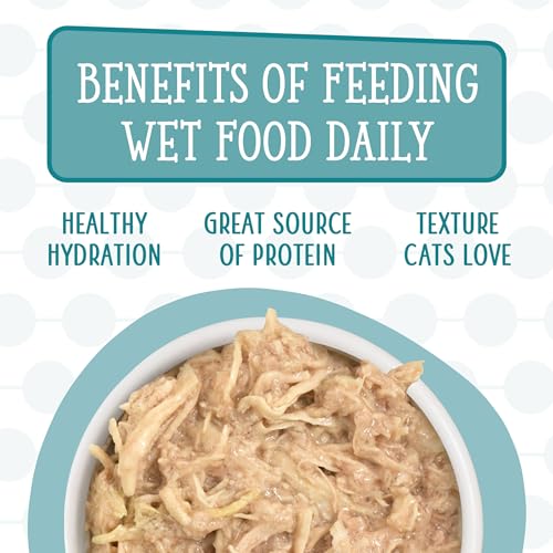 weruva cats in the kitchen kitchen cuties variety pack wet cat food 3.2oz can pack of 12