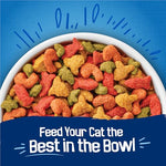 Purina friskies dry cat food seafood sensations with salmon tuna and shrimp flavors 22 lb bag