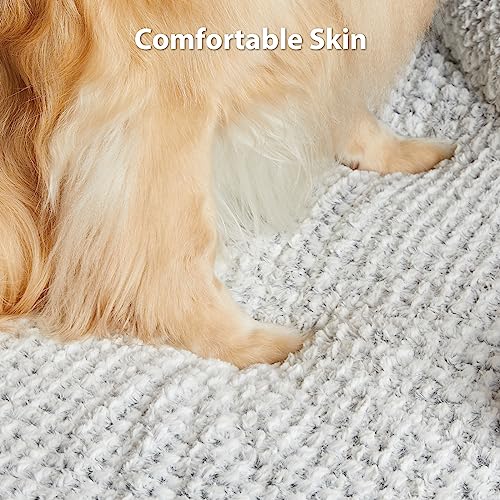 Large Orthopedic Dog Bed with Egg Crate Foam and Waterproof Pillow Cover, Grey, 36" x 27" x 6.5"
