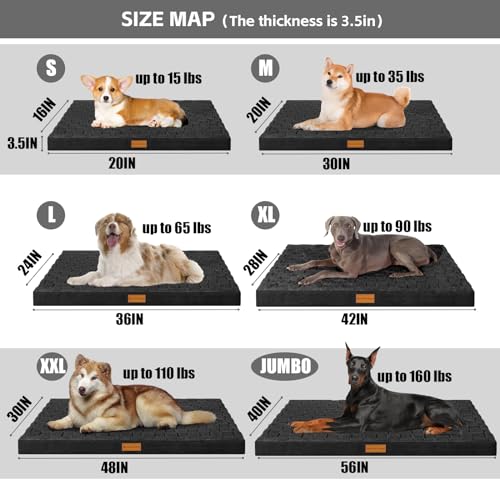 patas-lague-large-orthopedic-dog-bed-waterproof-egg-crate-foam-black-36x24