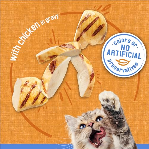 Purina Friskies Shreds with Chicken in Wet Cat Food Gravy - 5.5 oz Cans, Pack of 24