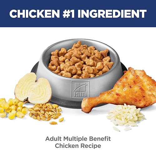 Hills science diet adult 1-6 chicken dry cat food with l-carnitine and natural fibers
