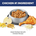 Hills science diet adult 1-6 chicken dry cat food with l-carnitine and natural fibers