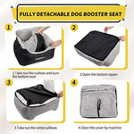 BurgeonNest dog car seat for small dogs, black, 25 lbs limit, detachable and washable, storage pockets and clip-on leash