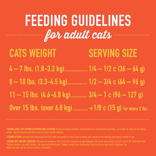 tiki cat born carnivore indoor health dry cat food chicken turkey meal 6 lbs bag