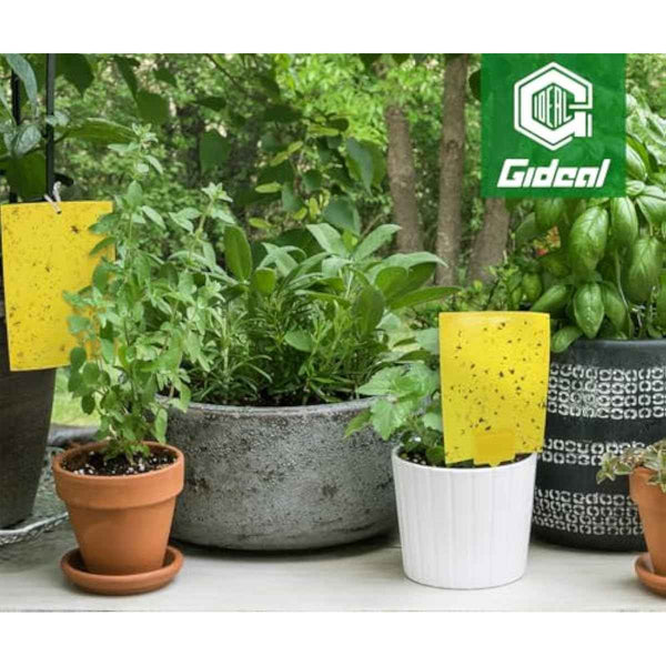 Gideal 20-Pack Dual-Sided Yellow Sticky Traps for Flying Plant Insect Such as Fungus Gnats, Whiteflies, Aphids, Leafminers,Thrips - (6x8 Inches, Included 20pcs Twist Ties)