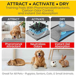 Glad for Pets Black Charcoal Puppy Training Pads with Odor Control and Pheromone Attractant, Leak Resistant Dog Potty Pads for House Training Puppies and Dogs, 23 x 23 in, 50 Count