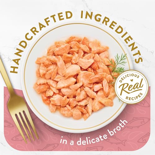 Purina fancy feast wild alaskan salmon appetizer grain free wet cat food topper 1.1 oz trays pack of 10