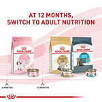 royal-canin-feline-health-nutrition-kitten-thin-slices-in-gravy-wet-cat-food-for-kittens-3oz-pack-of-12