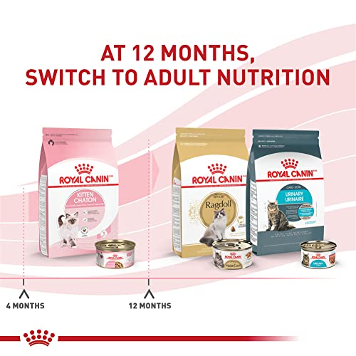 royal-canin-feline-health-nutrition-kitten-thin-slices-in-gravy-wet-cat-food-for-kittens-3oz-pack-of-12