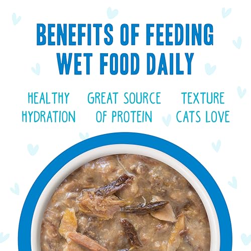 Weruva B.F.F. OMG - Best Feline Friend Oh My Gravy!, Variety Pack, Rainbow Road, Wet Cat Food by, 2.8oz Can (Pack of 12)
