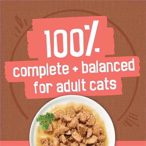 purina friskies 24ct variety pack canned cat food extra gravy with chicken turkey salmon beef 5.5 oz cans