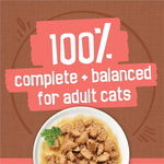 purina friskies 24ct variety pack canned cat food extra gravy with chicken turkey salmon beef 5.5 oz cans