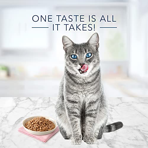blue buffalo tastefuls natural tender morsels wet cat food, chicken entrée 5.5-oz cans, 24-pack