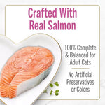purina fancy feast petites seared salmon entree gourmet wet cat food pack of 12 2.8 oz tubs