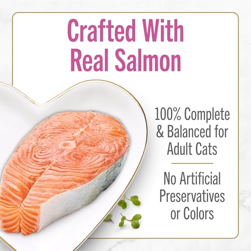 purina fancy feast petites seared salmon entree gourmet wet cat food pack of 12 2.8 oz tubs