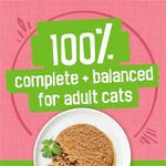 purina-friskies-wet-cat-food-pate-salmon-dinner-5-5oz-cans-pack-of-24