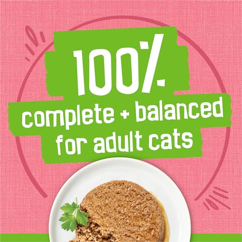 purina-friskies-wet-cat-food-pate-salmon-dinner-5-5oz-cans-pack-of-24