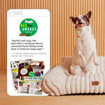 Bedsure ComfyFleece cute cat couch for indoor cats with removable washable cover and supportive pet sofa 24inch cream
