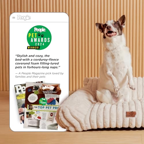 Bedsure ComfyFleece cute cat couch for indoor cats with removable washable cover and supportive pet sofa 24inch cream