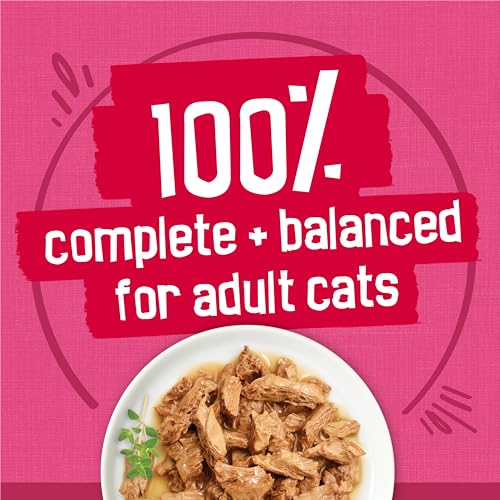 purina friskies gravy wet cat food variety pack surfin and turfin 5.5 oz cans