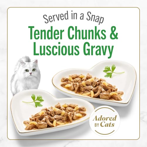 purina-fancy-feast-grilled-chicken-wet-cat-food-pack-of-12-2.8-oz-tubs-with-rice-and-gravy