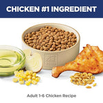 Hills Science Diet Adult 1-6 Dry Cat Food, 16 lb Bag, Chicken Recipe, Premium Nutrition