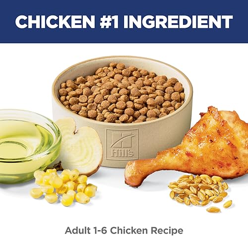 Hills Science Diet Adult 1-6 Dry Cat Food, 16 lb Bag, Chicken Recipe, Premium Nutrition