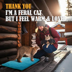 petnf waterproof outdoor heated cat bed mat for feral cats and dogs 20x16
