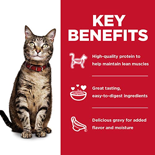 hills-science-diet-adult-1-6-premium-nutrition-wet-cat-food-variety-pack-tuna-chicken-ocean-fish-stew-case-12