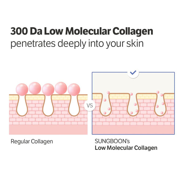 Sungboon Editor Deep Collagen Anti-Wrinkle Cream in 1.01 fl oz with Volufiline and Real Collagen for Glass Skin