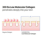 Sungboon Editor Deep Collagen Anti-Wrinkle Cream in 1.01 fl oz with Volufiline and Real Collagen for Glass Skin