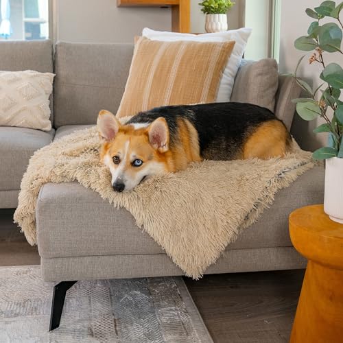 Best Friends by Sheri Calming Shag Dog and Cat Blanket, Ultra Soft Faux Fur Throw, Anxiety Relief, Machine Washable, Taupe, 30 x 40