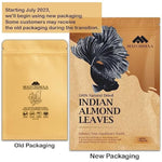 Premium Indian Almond Leave. Aquarium Decorations Size 6-9" Pack 50g(20-25 Leaves). Catappa Leaves Rich in Tannin. Superb to be Health Better, Vitality, Succesful Breeding! of Shrimp & Betta Fish Tank