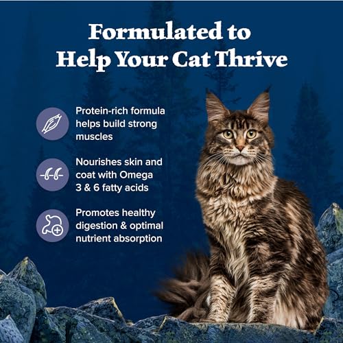 blue buffalo wilderness high-protein grain-free natural dry cat food for adult cats chicken 6-lb bag