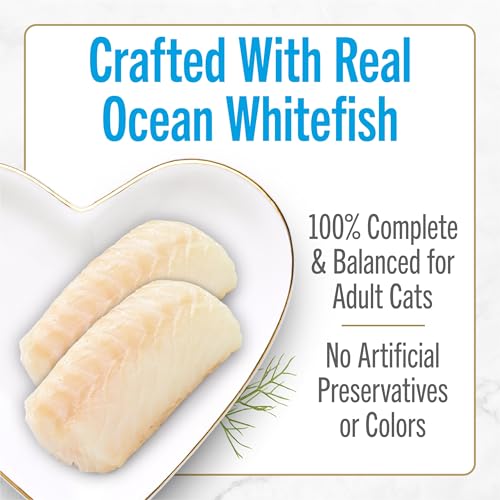 Purina fancy feast petites ocean whitefish entree with tomato in gravy gourmet wet cat food pack of 12 2.8 oz tubs
