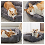 dog bed for small dogs washable super soft durable grey 20x19x6inch