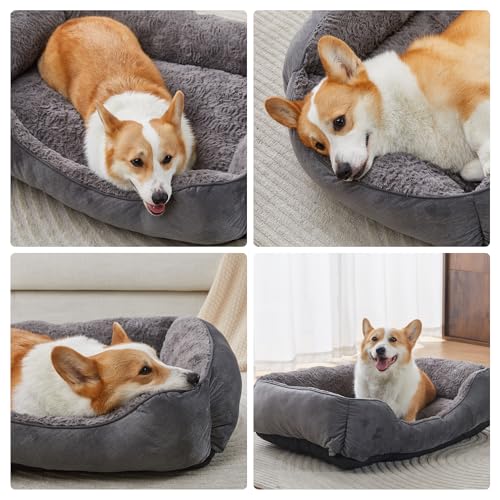 dog bed for small dogs washable super soft durable grey 20x19x6inch
