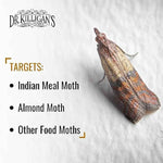 Dr. Killigan's Premium Black Double Potent Pantry Moth Traps with Pheromones Prime, 6 Pack