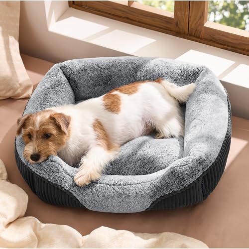 bedsure washable dog bed, small medium size, rectangle fluffy plush pet bed, comfy corduroy fleece, 25x21x7inches, suitable for pet up to 20lbs, grey