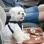 Comsmart small dog blankets, 6 pack puppy blanket, cute paw print, 24x28 inches, black, brown, blue grey, red, white