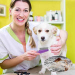 yumflan flea comb with rubber handle for dogs and cats purple