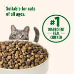 rachael ray nutrish premium natural dry cat food, real chicken & brown rice recipe, 14 pounds