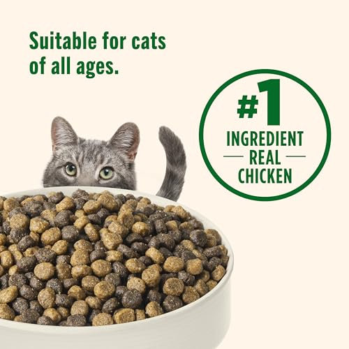 rachael ray nutrish premium natural dry cat food, real chicken & brown rice recipe, 14 pounds